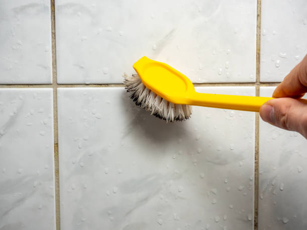 Best Best Mold Removal Companies  in Chesapeake, OH