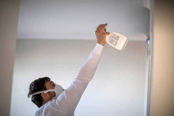 Best Professional Mold Removal  in Chesapeake, OH