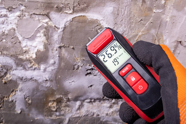 Best Crawl Space Mold Removal  in Chesapeake, OH