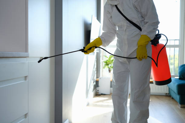 Water Damage Restoration in Chesapeake, OH